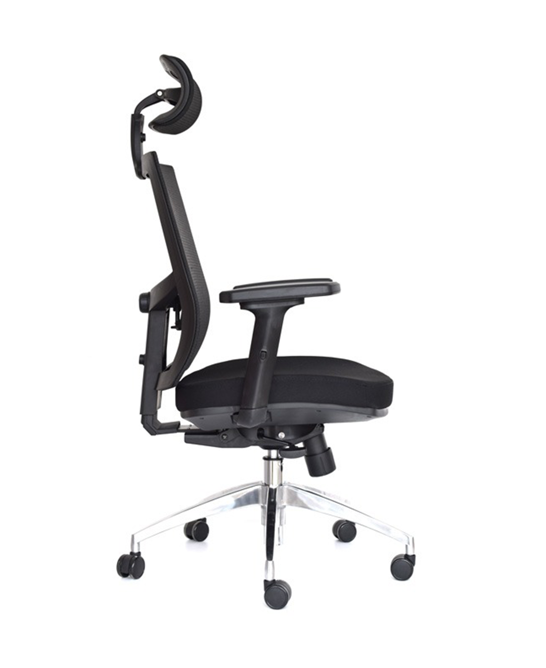 SILLA LUCCA PREMIUM - DCORLINE